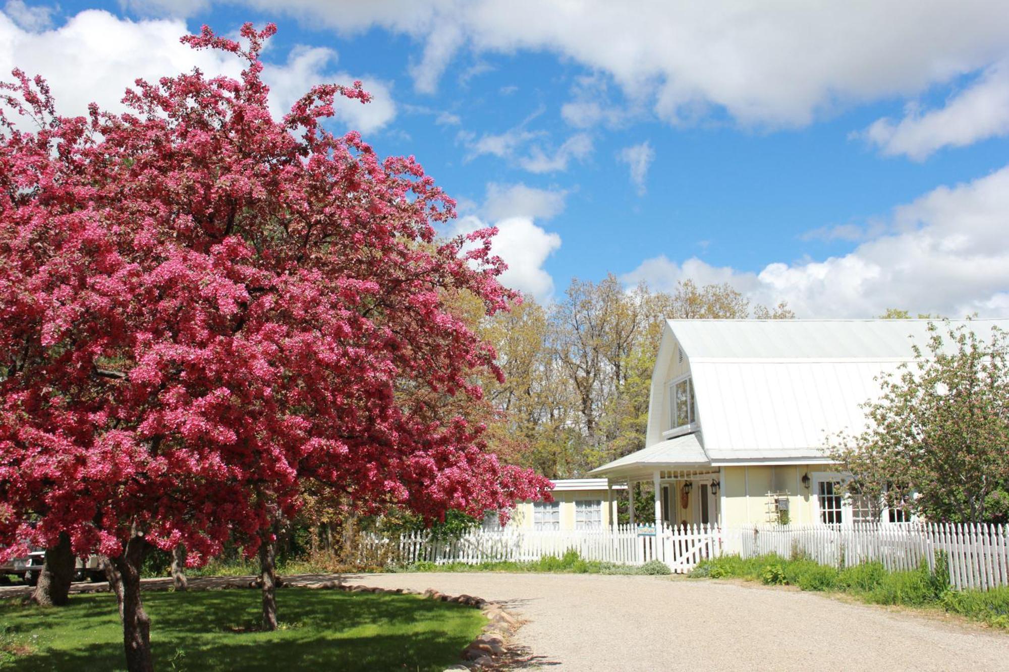 Blue Lake Ranch Bed & Breakfast Hesperus Luaran gambar